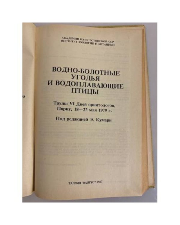 Водно-болотные угодья и водоплавающие птицы