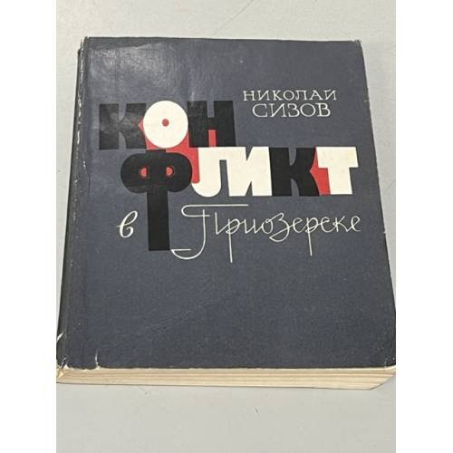 Конфликт в Приозерске