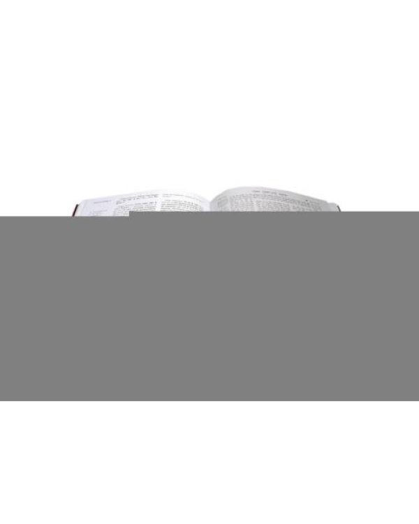 Дополнительное изображение книги «Вавилонский Талмуд. Трактат Сота. Т. 1»