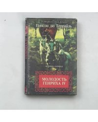 Молодость Генриха IV