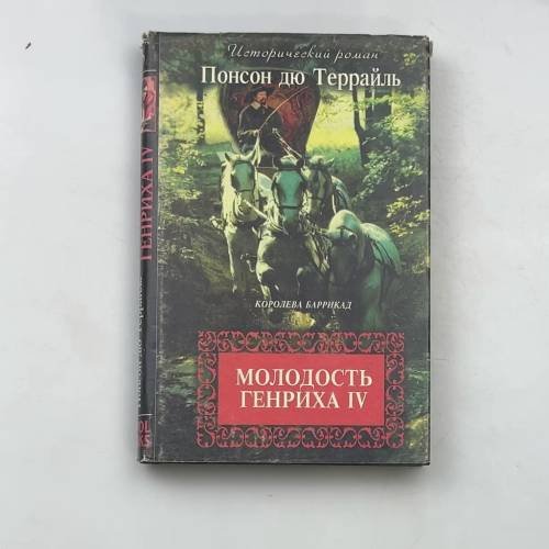 Молодость Генриха IV