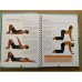Yoga: Ausgleich und Harmonie für Körper, Seele und  Geist