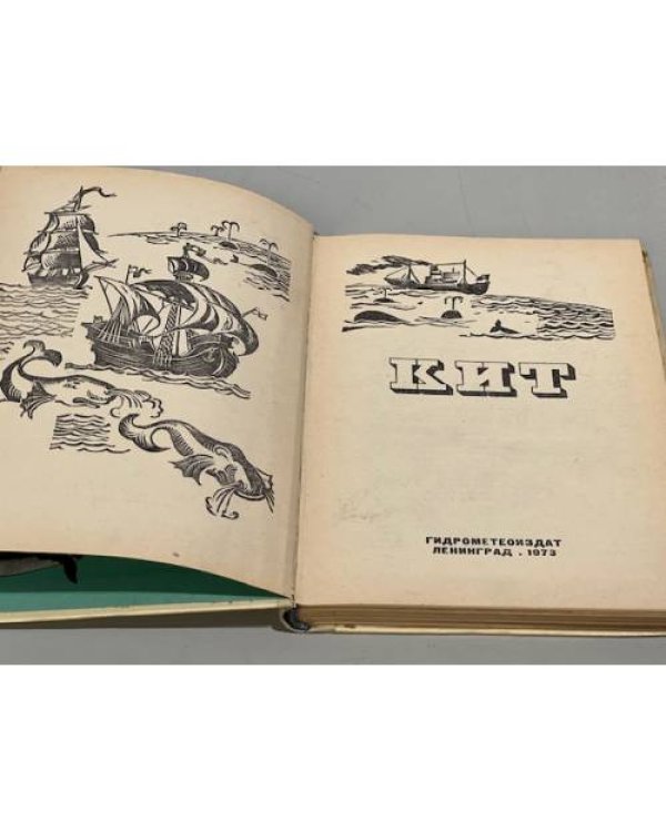 Дополнительное изображение книги «Кит»