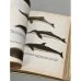 Дополнительное изображение книги «Кит»