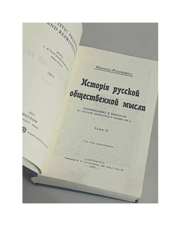 История русской общественной мысли. Индивидуализм и мещанство в русской литературе и жизни XIX в. Том 2