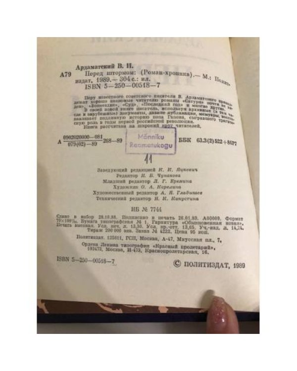 Дополнительное изображение книги «Перед штормом»