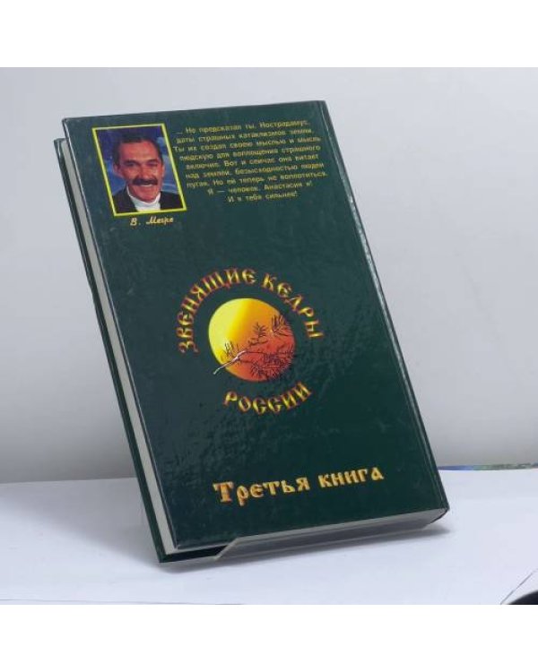 Дополнительное изображение книги «Пространство Любви»