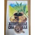 Живительная сила чая