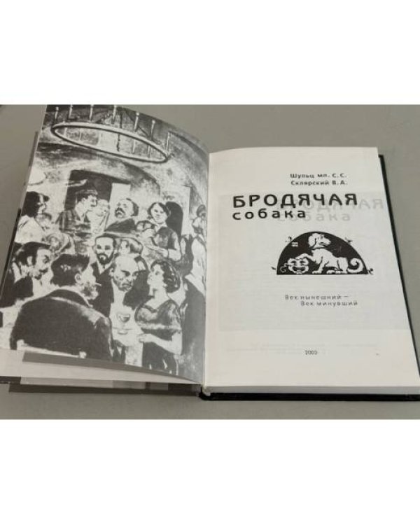 Дополнительное изображение книги «Бродячая собака»