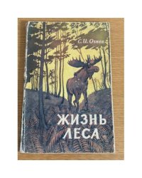 Жизнь леса