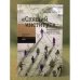 "Спящий институт": федерализм в современной России и в мире
