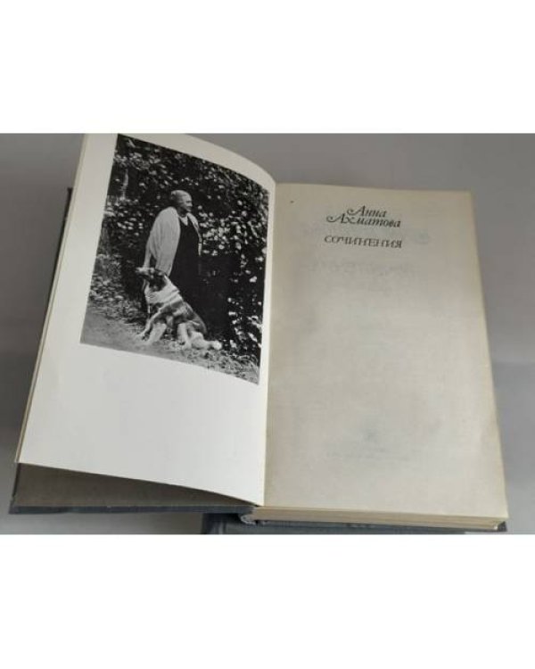 Дополнительное изображение книги «. Сочинения в двух томах»