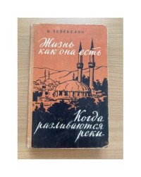 Жизнь как она есть. Когда разливаются реки