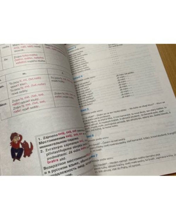 Чешский язык для начинающих  часть 1