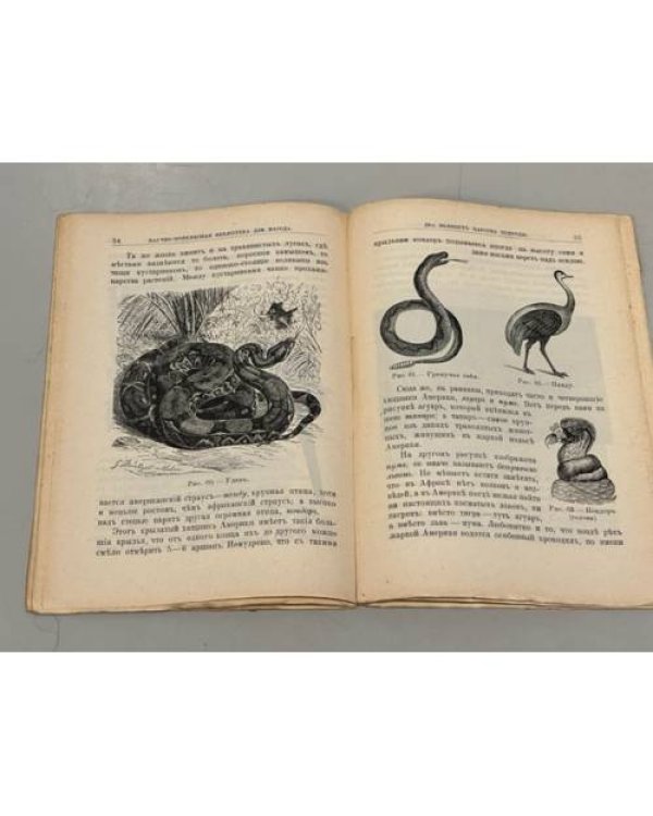 Дополнительное изображение книги «Два великих царства природы. Животные и растения, населяющие сушу. № 9»