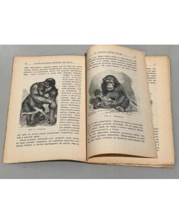 Дополнительное изображение книги «Два великих царства природы. Животные и растения, населяющие сушу. № 9»