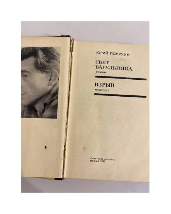 Дополнительное изображение книги «Свет багульника. Взрыв»