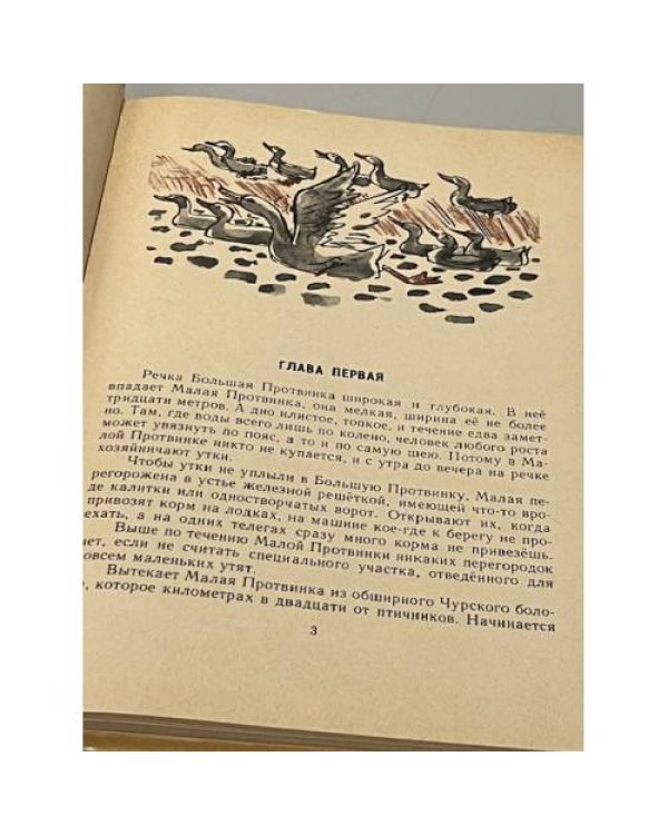 Дополнительное изображение книги «Протвинские аквалангисты»