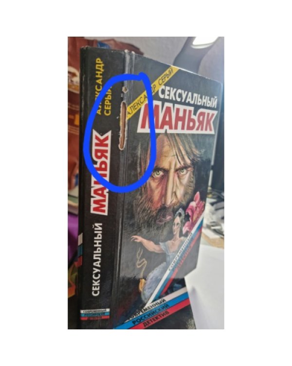 Дополнительное изображение книги «Сексуальный маньяк»