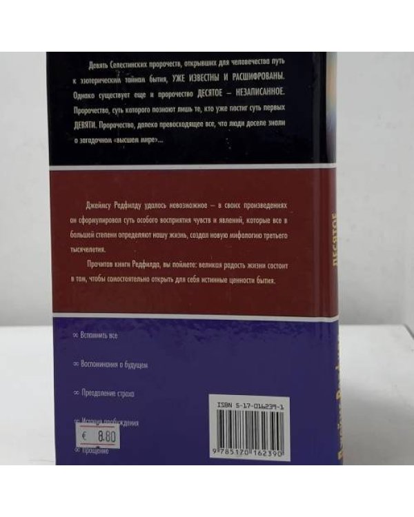 Дополнительное изображение книги «Десятое пророчество»