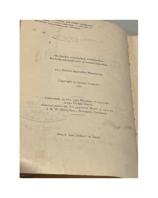 Дети солнца.  Драма в 4-х действиях