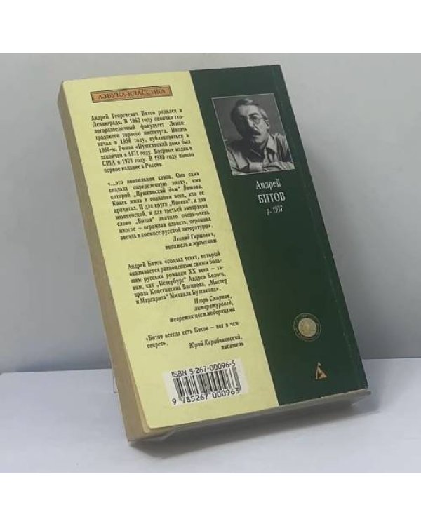 Дополнительное изображение книги «Пушкинский дом»