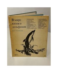 В мире китов и дельфинов