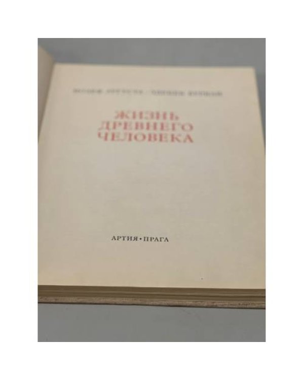 Жизнь древнего человека