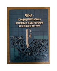 Чича - городище переходного от бронзы к железу времени в барабинской лесостепи. Т. 3