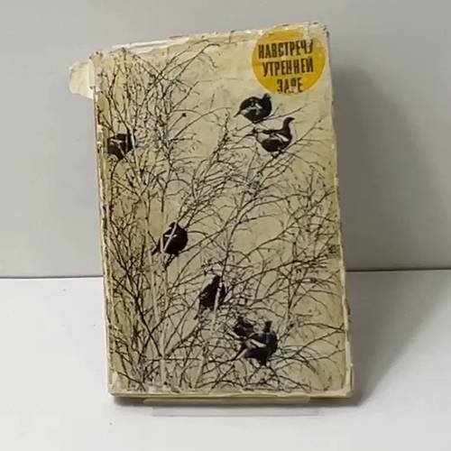 Навстречу утренней заре