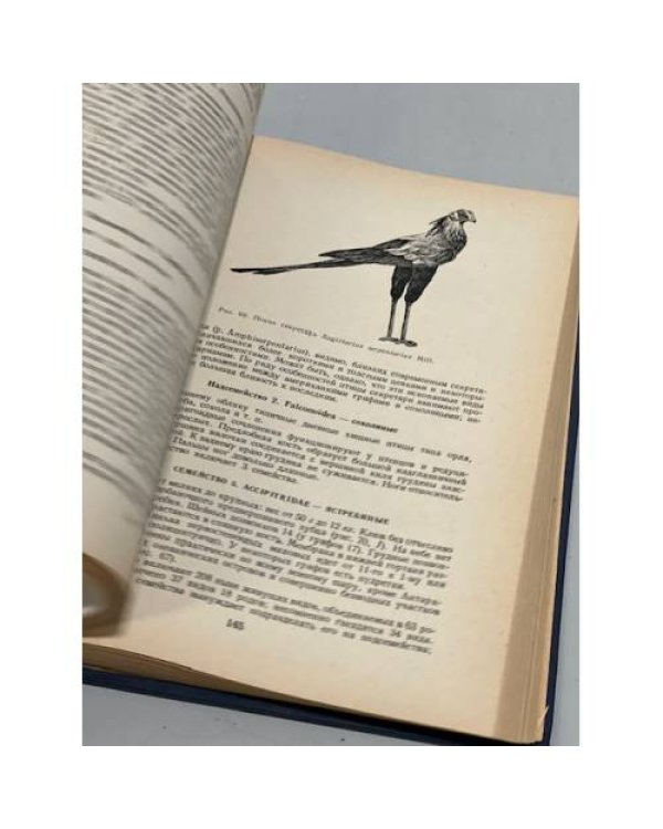 Дополнительное изображение книги «Систематика птиц»