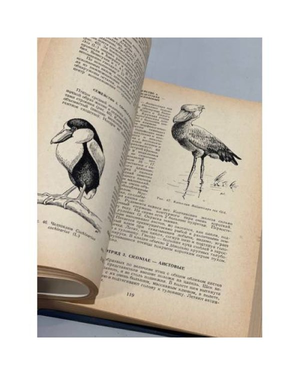 Дополнительное изображение книги «Систематика птиц»
