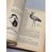 Дополнительное изображение книги «Систематика птиц»