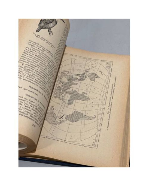 Дополнительное изображение книги «Систематика птиц»