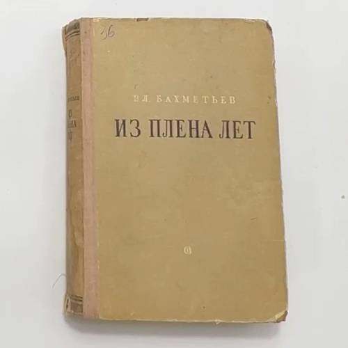 Из плена лет