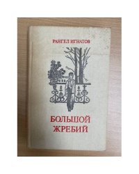 Большой жребий