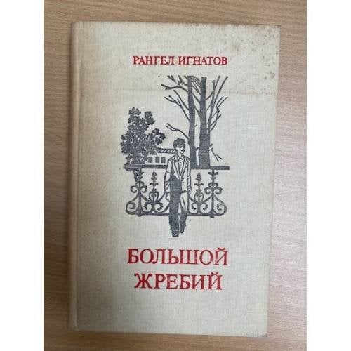 Большой жребий