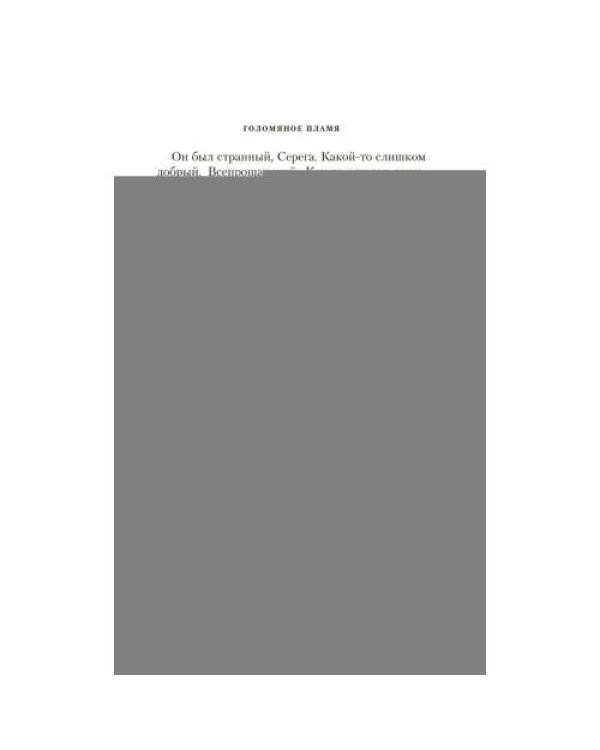 Дополнительное изображение книги «Голомяное пламя роман»