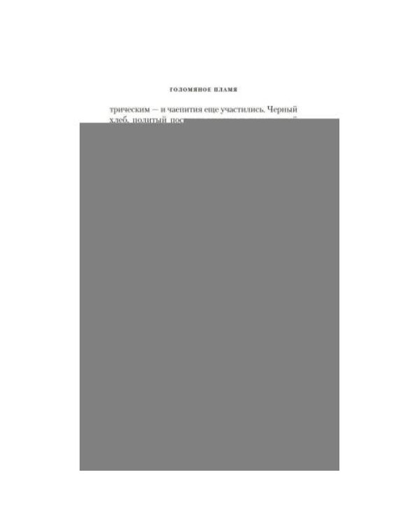 Дополнительное изображение книги «Голомяное пламя роман»