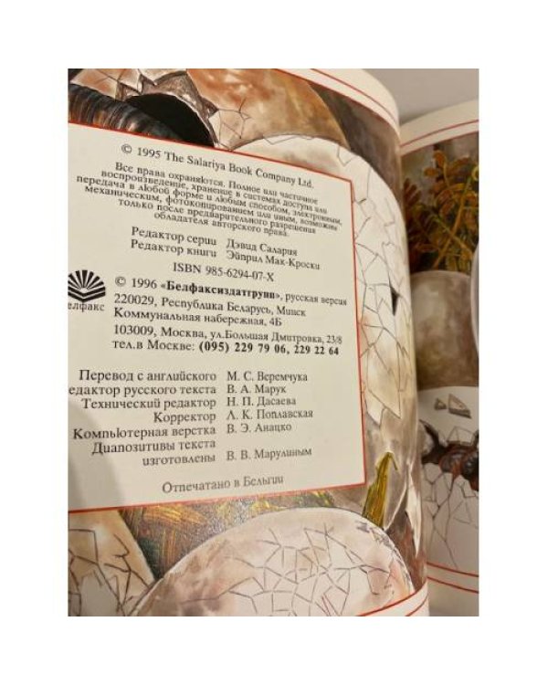 Дополнительное изображение книги «Динозавры (познаем мир)»