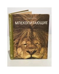Млекопитающие