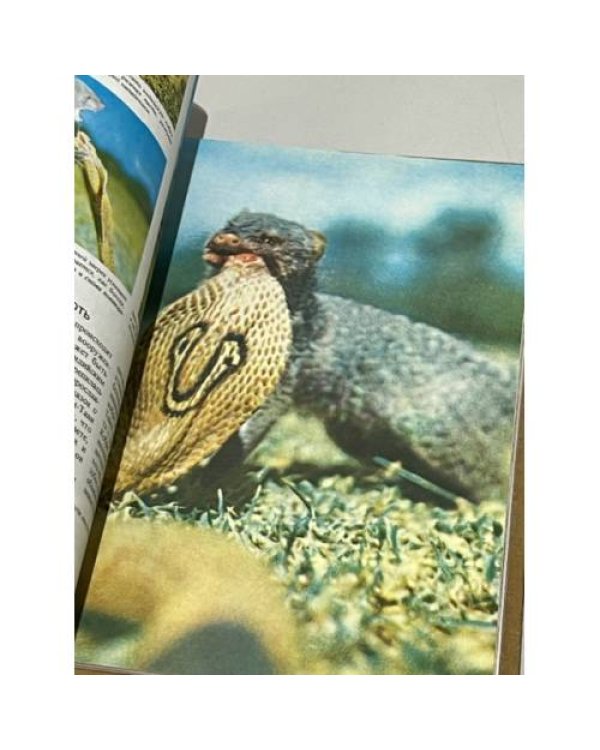 Дополнительное изображение книги «Млекопитающие»