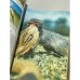 Дополнительное изображение книги «Млекопитающие»