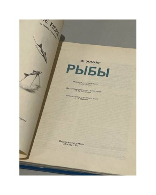 Рыбы