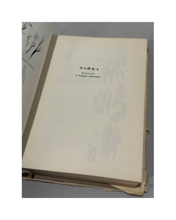 Дополнительное изображение книги «Чайка»