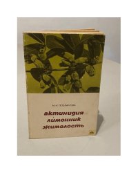 Актинидия, лимонник, жимолость | Плеханова Мария Николаевна