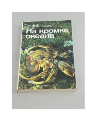 На кромке океана