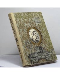 Госпожа Бовари. Провинциальные нравы