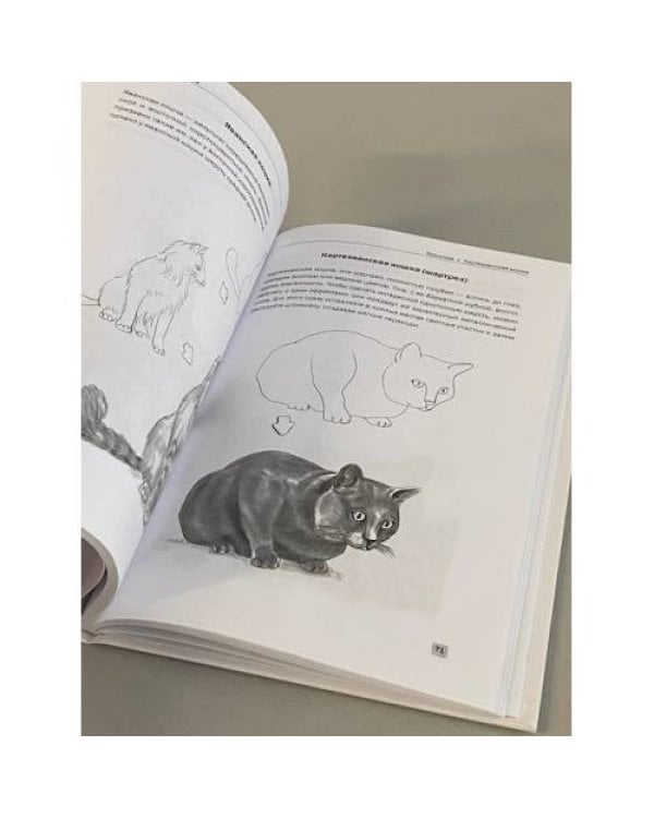 Рисуем кошек
