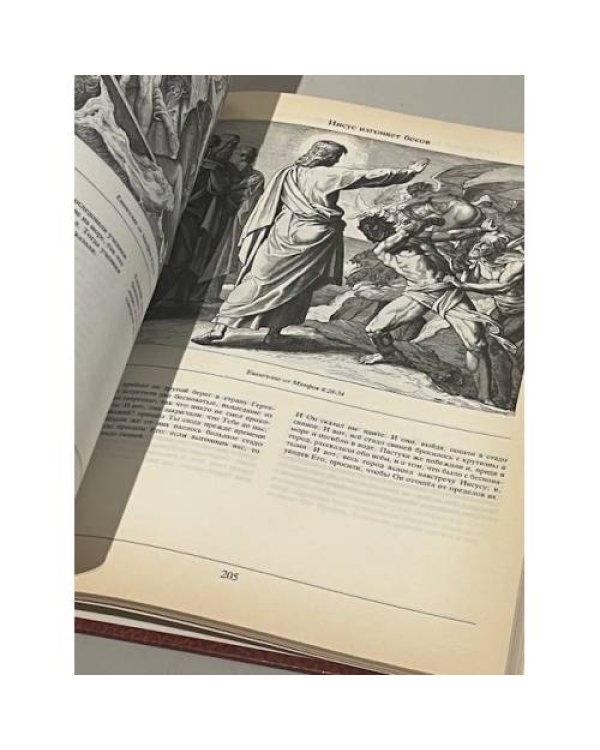 Дополнительное изображение книги «Библия в иллюстрациях Юлиуса Шнорр фон Карольсфельда»